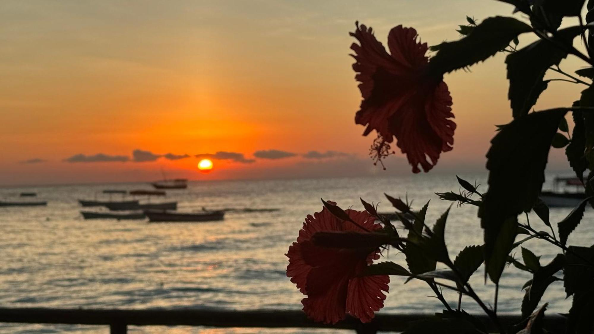 Blue Tides Hotel Nungwi Dış mekan fotoğraf